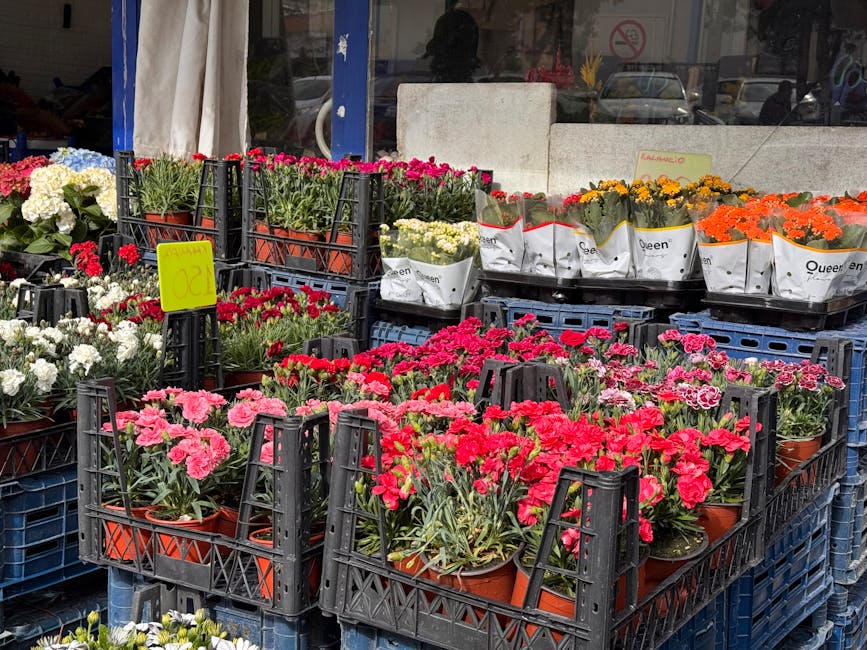 A display of various potted flowering plants, predominantly pink, red, white, yellow, and orange, arranged in black plastic crates outside a florist shop. The flowers include carnations, chrysanthemum